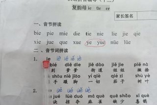 拼音学习动画；学拼音 动画