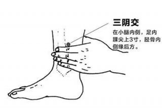 艾灸学习视频教程全集、艾灸教学免费视频教程