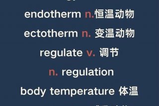 托福学什么内容（托福都学什么内容）