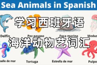 西班牙语哪里学 哪里有学西班牙语
