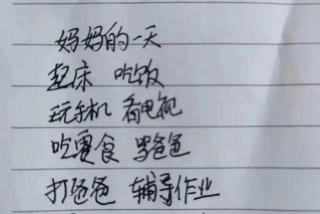 宅家日常 - 宅家日常作文