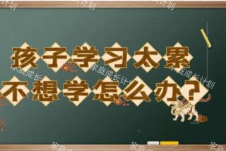 感觉学习很累怎么办 感觉学的很累