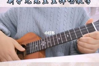 尤克里里入门教学视频；尤克里里新手入门教学视频