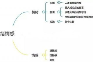 情感心理学（情感心理学入门基础知识）