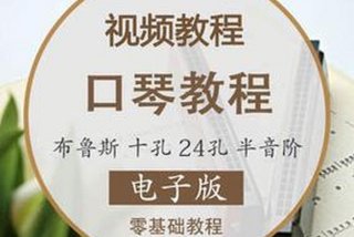 学习口琴基础教程 - 初学口琴教学视频