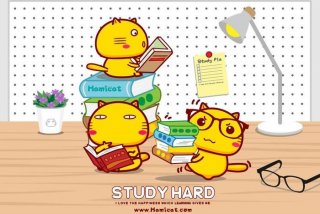 电脑壁纸学习搞笑；电脑壁纸