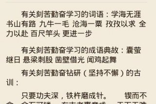 形容刻苦努力的成语；比喻拼搏奋斗的成语