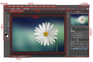 学ps的软件（学ps那个软件好）