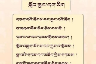藏文学习怎么入门、藏文怎么学好