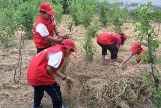 实践学习、实践的心得体会