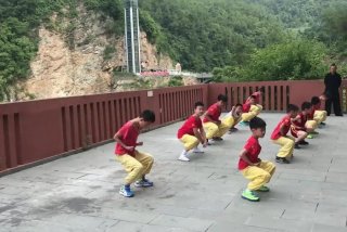 功夫学习怎么学 - 功夫怎么学视频