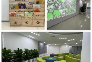 学习困难门诊暑期一号难求