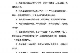 适合积累的好句（适合积累的好句子摘抄）