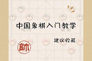 学下象棋入门视频教程 学下象棋入门视频教程免费