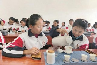 学习实践活动有哪些；学了实践活动