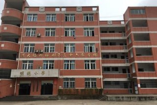 小学生作文学习小天才 - 画画小天才作文