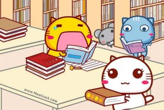 学洗壁纸电脑桌面高清