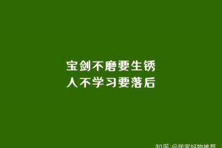 学习的语录励志视频