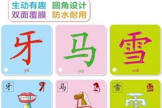 学习识字卡片；识字卡片大