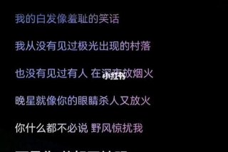 学习歌词字幕视频教程 - 歌词字幕模板