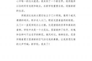 学校的什么作文，学校的什么作文200字