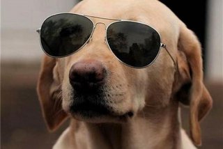 搞笑学习音乐、搞笑音乐推荐