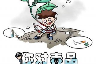 禁毒课程学习教程（禁毒示范课视频）