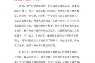 谈理想的作文；谈理想的作文高中