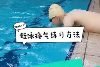怎么学习蛙泳和蛇泳，如何学蛙泳视频