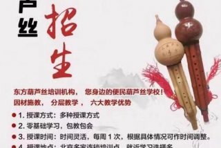 葫芦丝学习班有必要吗 - 学葫芦丝要去培训班吗