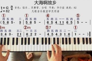 学电子琴50课免费；学电子琴教学视频
