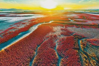 辽宁在线学习网（辽宁在线教育）