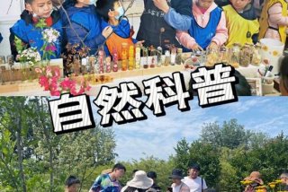 自然教学班什么意思，自然 课程