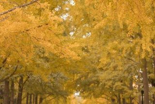 四季学校不同的变化