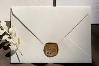 白雪信封 - 白雪信封txt