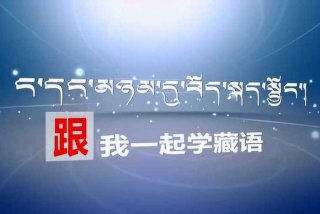 学习藏语视频（藏语入门教学视频大全）