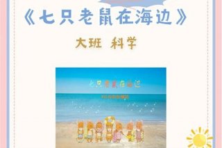 大班学习视频、大班教学课程视频教程