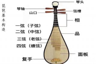 学习琵琶入门零基础 - 琵琶入门自学教程