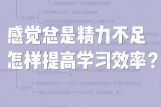 怎么提高学习效率呢，如何提高学习效率