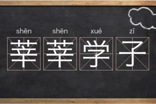 莘莘学子、莘莘学子的近义词