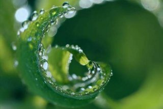 雨露学习互助下载，雨露互助干什么的