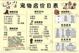 宠物训练学校 - 宠物训练学校价格大概是多少