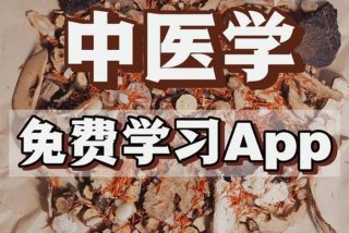 想要学习中医（想要学中医应该怎么做）
