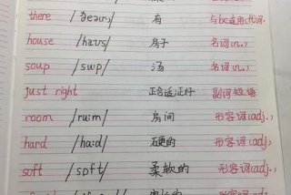 学系的英语单词，学系的英语单词怎么读