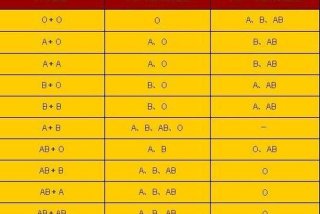 父母血型与孩子血型关系 父母血型与孩子血型关系怎么样
