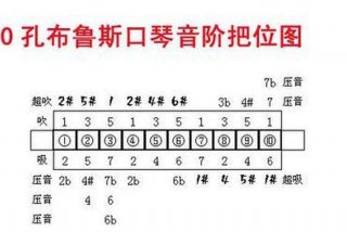 初学口琴入门教程视频 - 初学口琴入门教程视频讲解