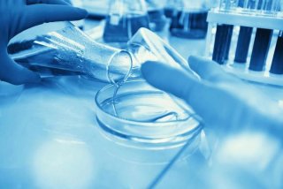 研究性学习报告怎么写（高中生研究性报告范文怎么写）