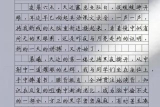 系统的学写作文，系统中的作文