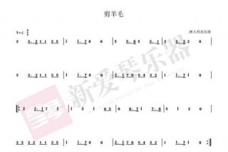 学习简谱从零开始（从零基础学简谱）