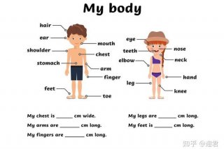 英语身体部位学习目标、身体部位英语课程